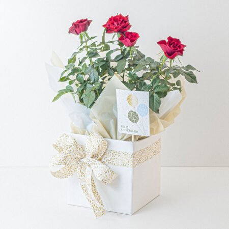 Mini Rosa P15 Vermelha + Cachepô de Papel + Laço + Tag Aniversário