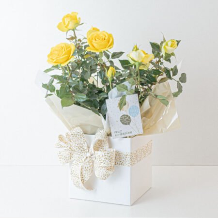 Mini Rosa P15 Variada + Cachepô de Papel + Laço + Tag Aniversário