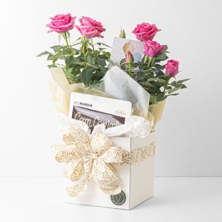 Mini Rosa P15 Rosa + Cachepô de Papel + Tablete de Chocolate ao Leite Dizeres 45g Di Pietro + Tag Aniversário