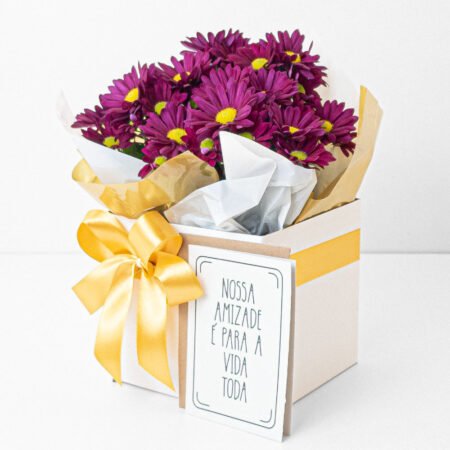 Mini Margarida P11 + Cachepô de Papel + Laço + Cartão Amizade