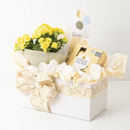 Cesta Kalanchoe P11 Variado + Bombom Ferrero Rocher Com 4 Unidades 50g + Tag Aniversário