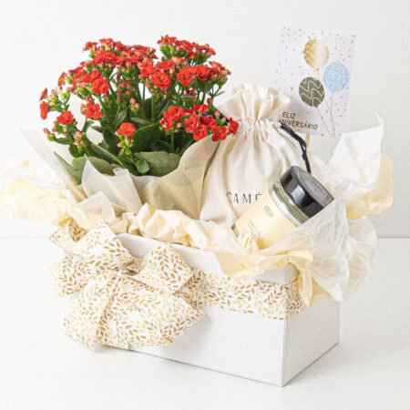 Cesta Muda Kalanchoe P11 Vermelho + VELA AROMATICA CAMELIA 100G + Tag Aniversário