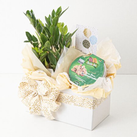 Cesta Muda Zamioculca P09 + NOZES PECAN CARAMELIZADAS 100G + Tag Aniversário