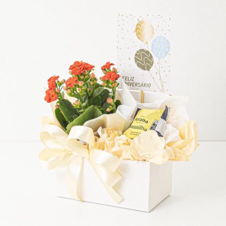 Mini Cesta Muda Kalanchoe P06 Variado + Trufa Sabor Variado Ferana 25g + Tag Aniversário
