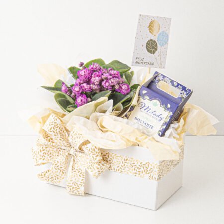 Cesta Violeta P11 Bordô + CM1005 CHA BOA NOITE 60G + Tag Aniversário