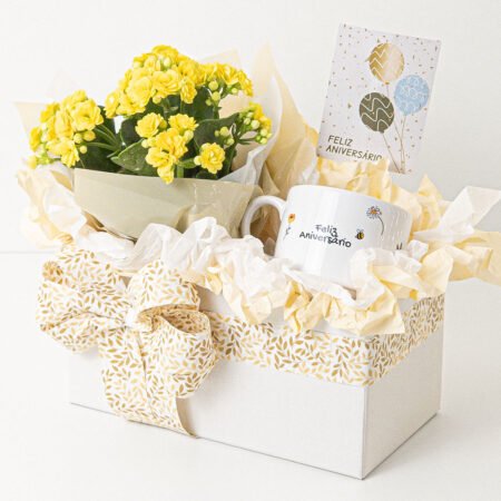 Cesta Kalanchoe P11 Variado + Caneca Cerâmica 180ml Branca • Feliz Aniversário + Tag Aniversário