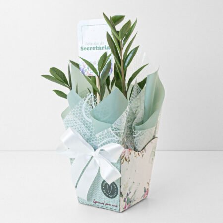 Muda Zamioculca P09 (35cm) + Cachepô de Papel + Tag Dia Da Secretária