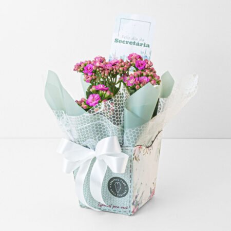 Kalanchoe P11 Variado + Cachepô de Papel + Laço + Tag Dia Da Secretária