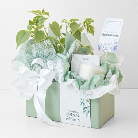Cesta PEPEROMIA PT11 SCANDENs + Vela Perfumada Alecrim 100g Essenza + Tag Dia Da Secretária