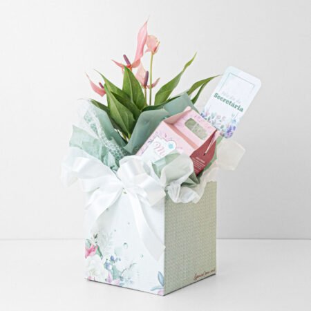 Muda Antúrio P09 Rosa + Chá Milady - Mulher 20g + Tag Dia Da Secretária