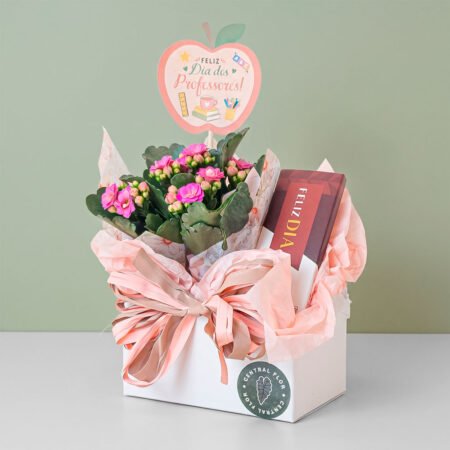 Cesta Kalanchoe P06 + Tablete ao leite 38% Chocolate Feliz Dia Di Pietro 28G + Tag Dia Dos Professores