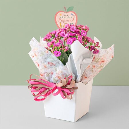 Kalanchoe P11 + Cachepô De Papel + Laço + Tag Dia Dos Professores