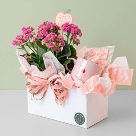 Cesta Kalanchoe P11 + Mini Bloco Aspiral + Caneca Cerâmica 180ml Empilhável Rosa + Tag Dia Dos Professores