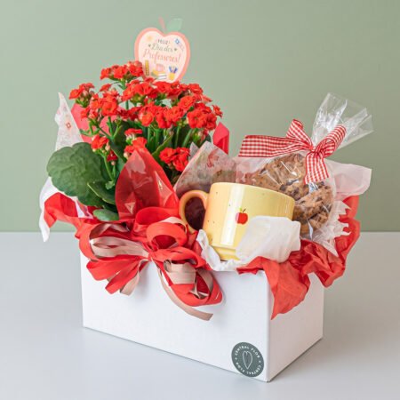 Cesta Kalanchoe P11 + Kit Biscoito Dia Do Professor + Caneca Cerâmica 180ml + Tag Dia Dos Professores