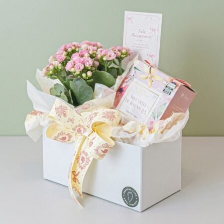 Cesta Kalanchoe P11 + Biscoito Baunilha + Tag Feliz Aniversário